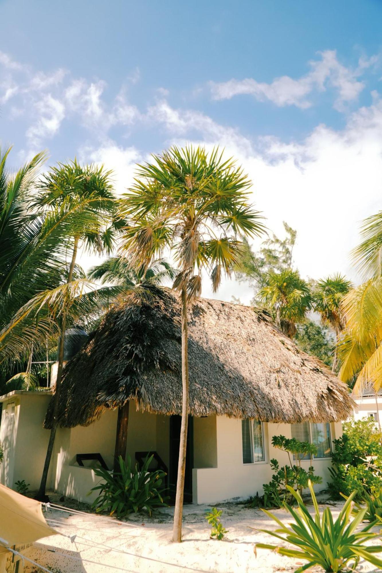 Hotel Cielo Y Selva Punta Allen Exterior photo