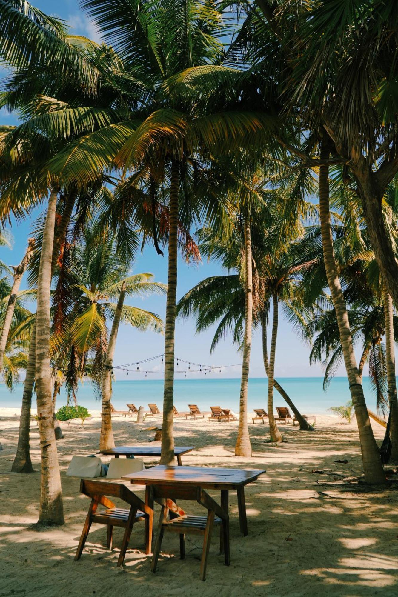 Hotel Cielo Y Selva Punta Allen Exterior photo